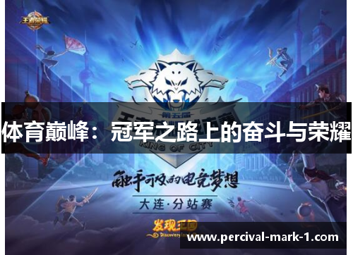 体育巅峰：冠军之路上的奋斗与荣耀